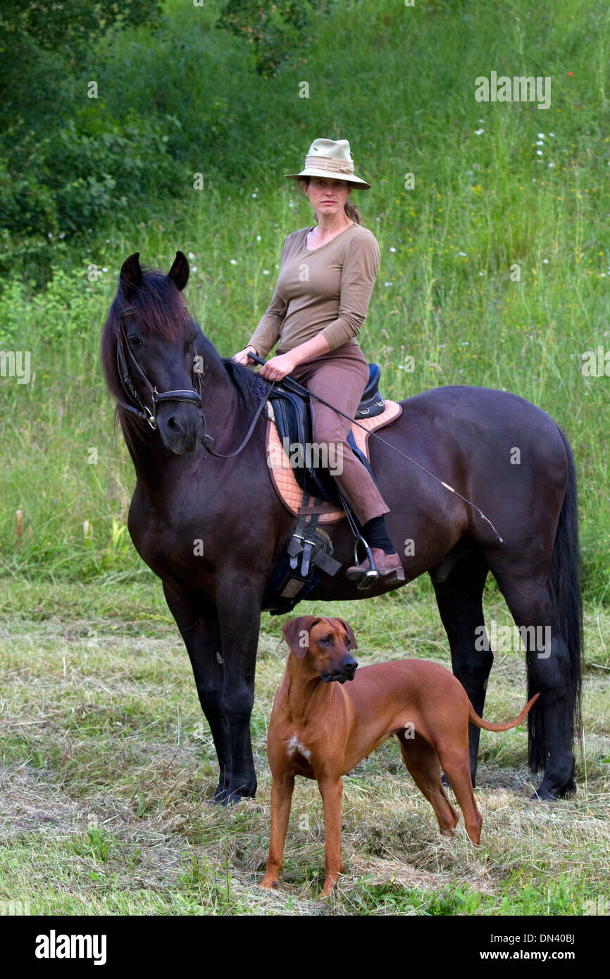 Französin Reiten ihr Pferd auf einem Bauernhof in der Nähe von Angoulême im Südwesten Frankreichs. Stockfoto