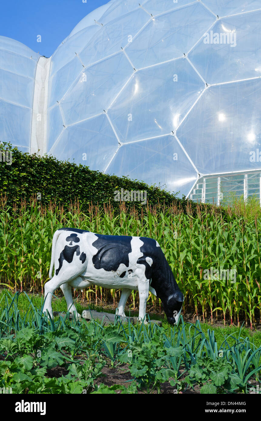 ein Modell aus Kunststoff Kuh im Eden Project in Cornwall, Großbritannien Stockfoto