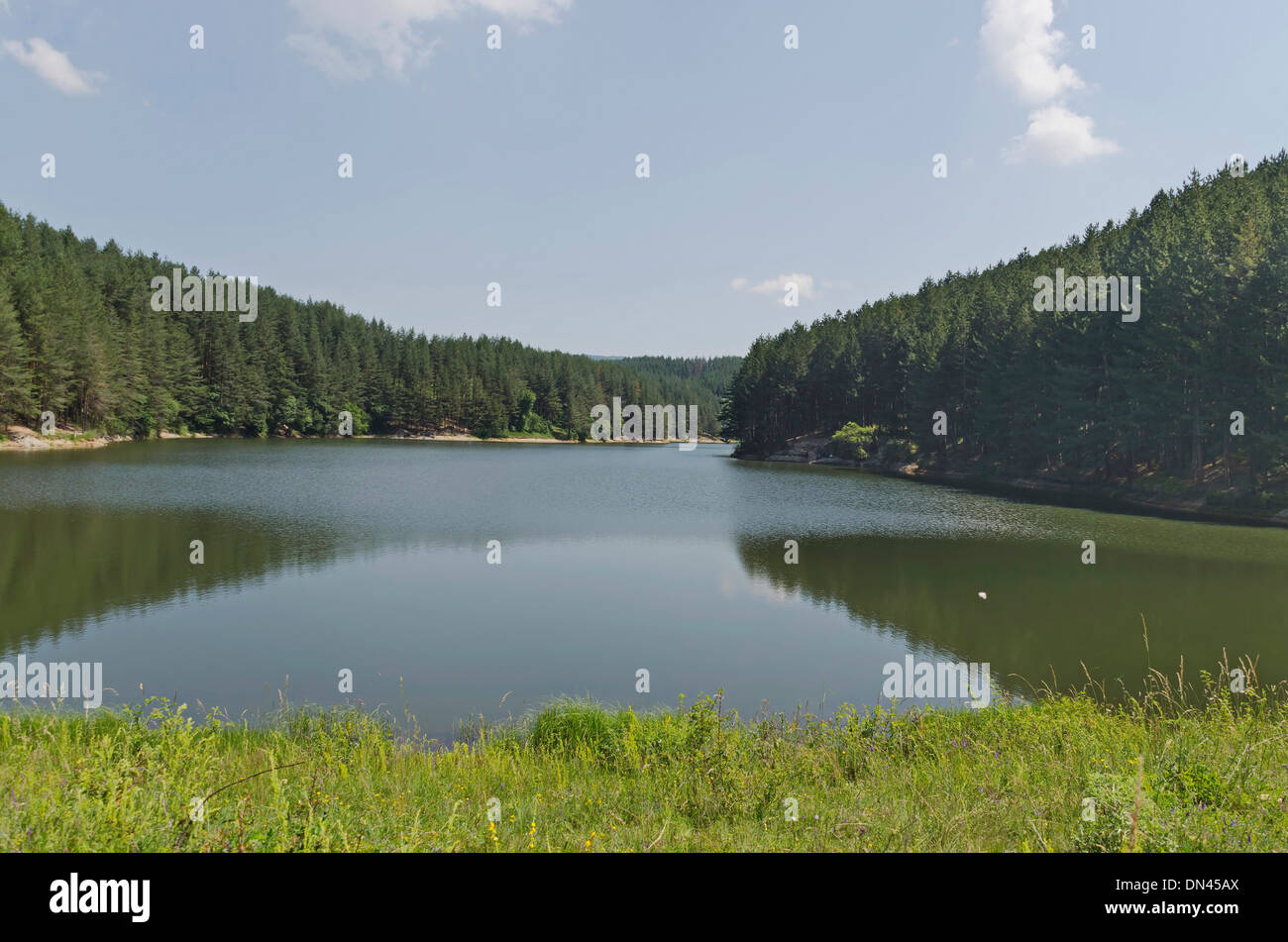 Kleinen Damm in den schönen Bergen Plana, Bulgarien Stockfoto