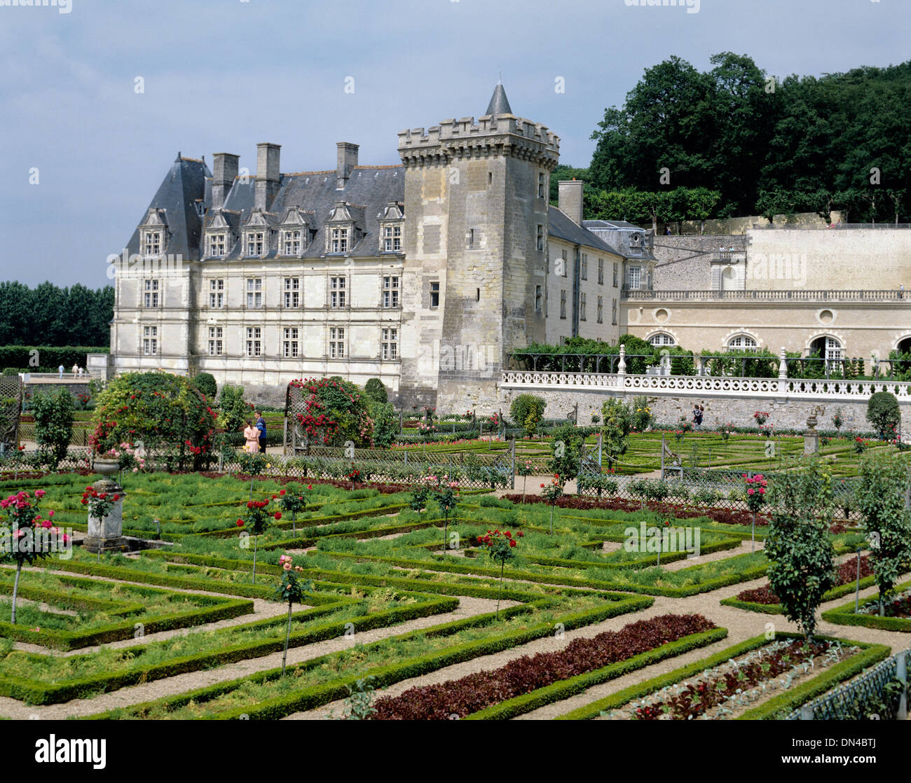 Schloss und Gärten, Villandry, Indre-et-Loire, Frankreich Stockfoto