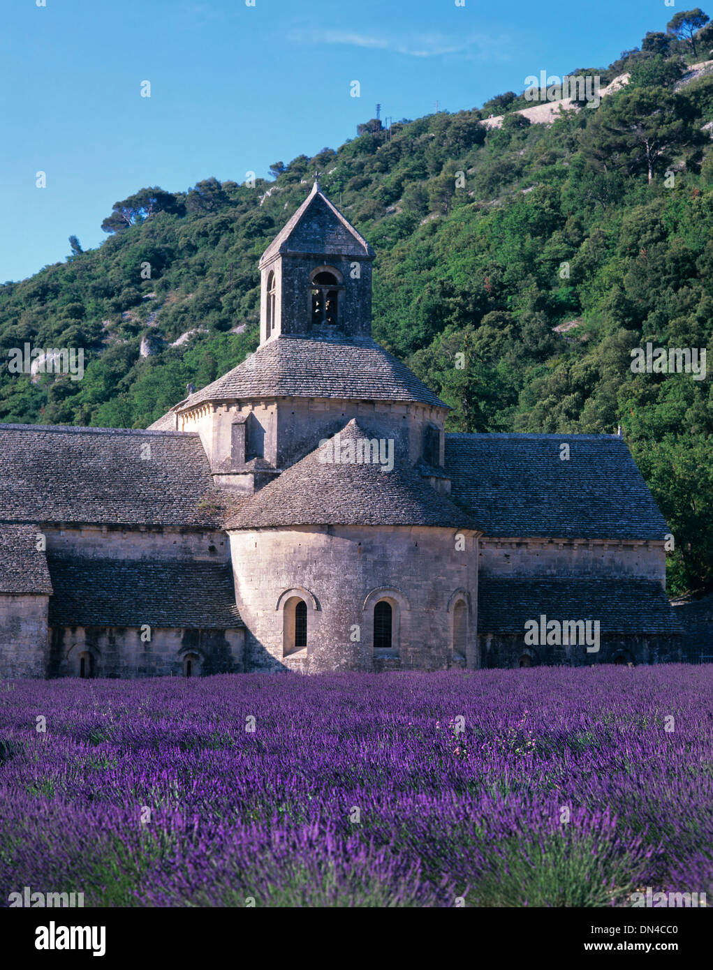 Blick auf Schloss mit Frühjahrsblüte im Vordergrund, Provence Cote d ' Azur, Frankreich Stockfoto