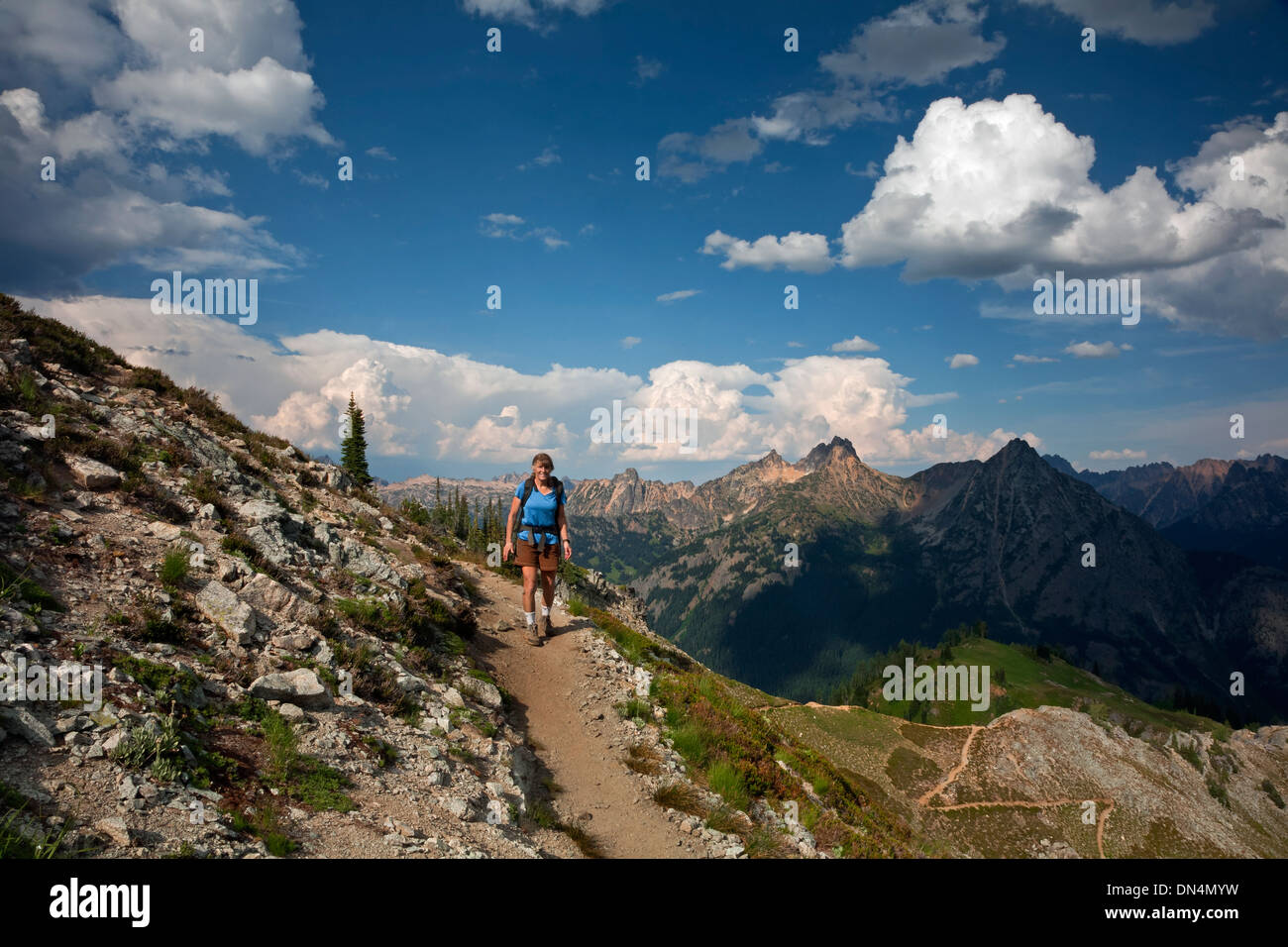 . WASHINGTON - Wanderer auf dem Ahorn Pass Trail im Abschnitt Okanogan National Forest in den North-Cascades. Stockfoto