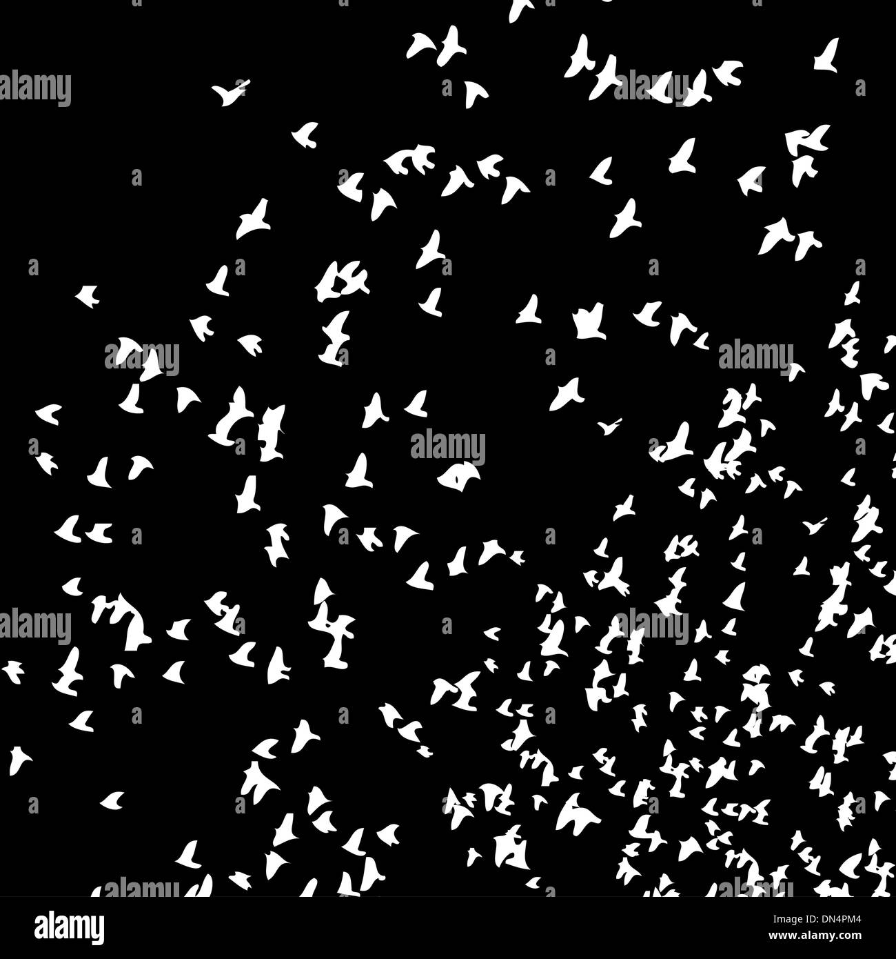 schwarzem Hintergrund Vögel Leben Vektorgrafiken Stock Vektor