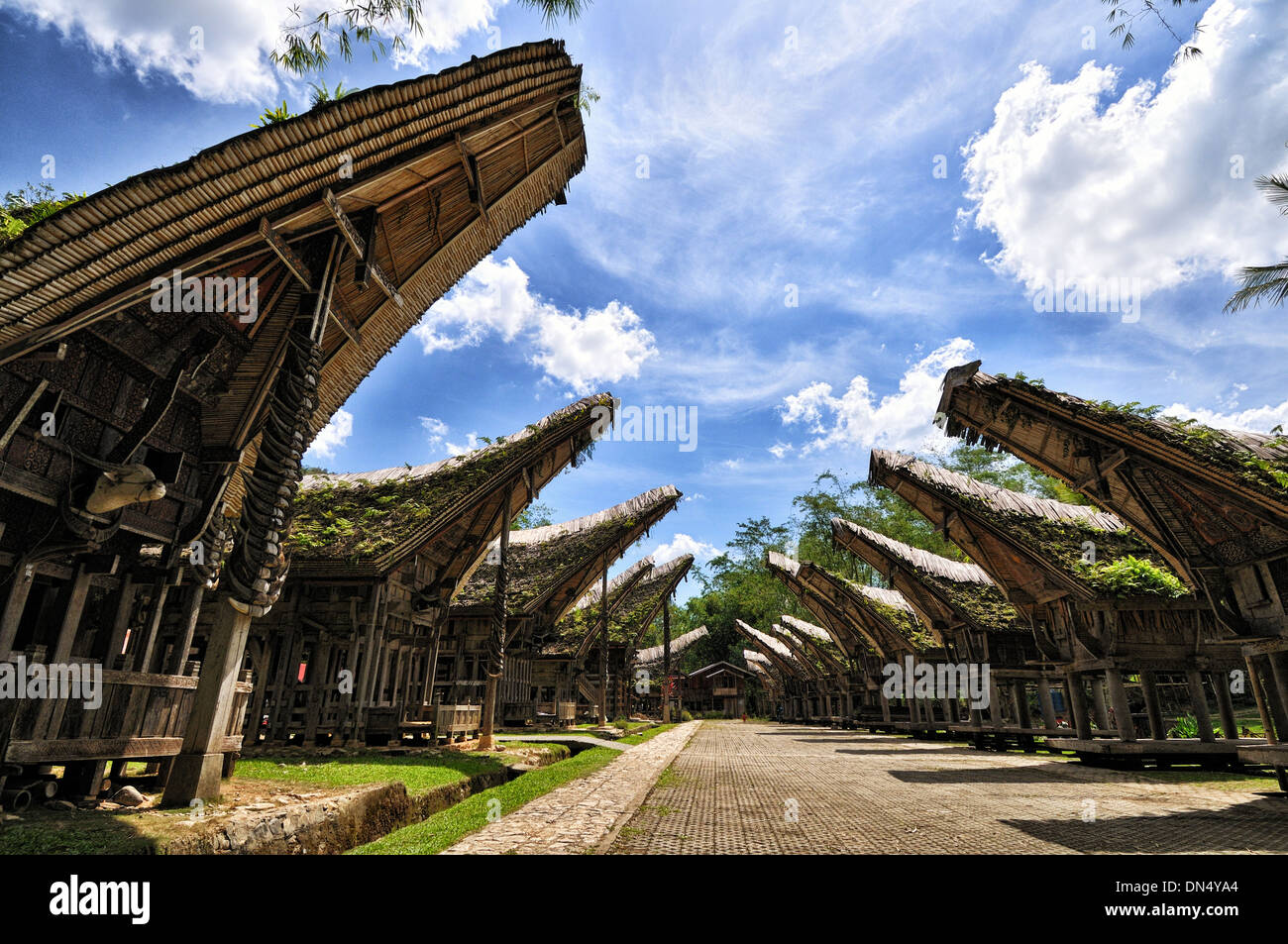 Kete Kesu von Tana Toraja, Süd-Sulawesi Stockfoto