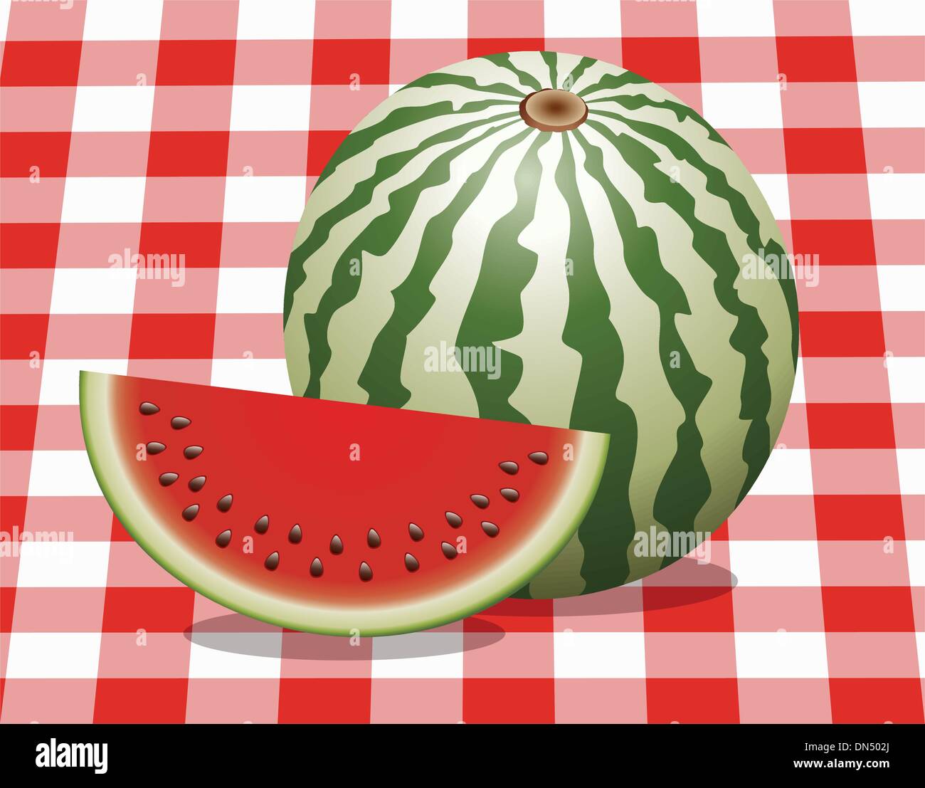 Vektor-Wassermelone und ein Stück Stock Vektor