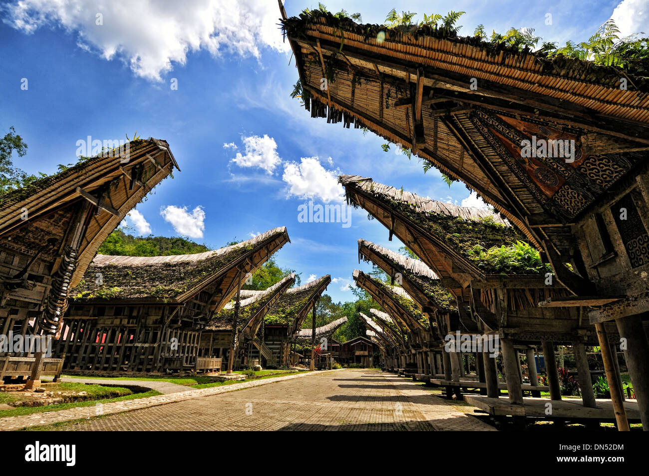 Tongkonan in einem Toraja Dorf, Süd-Sulawesi Stockfoto