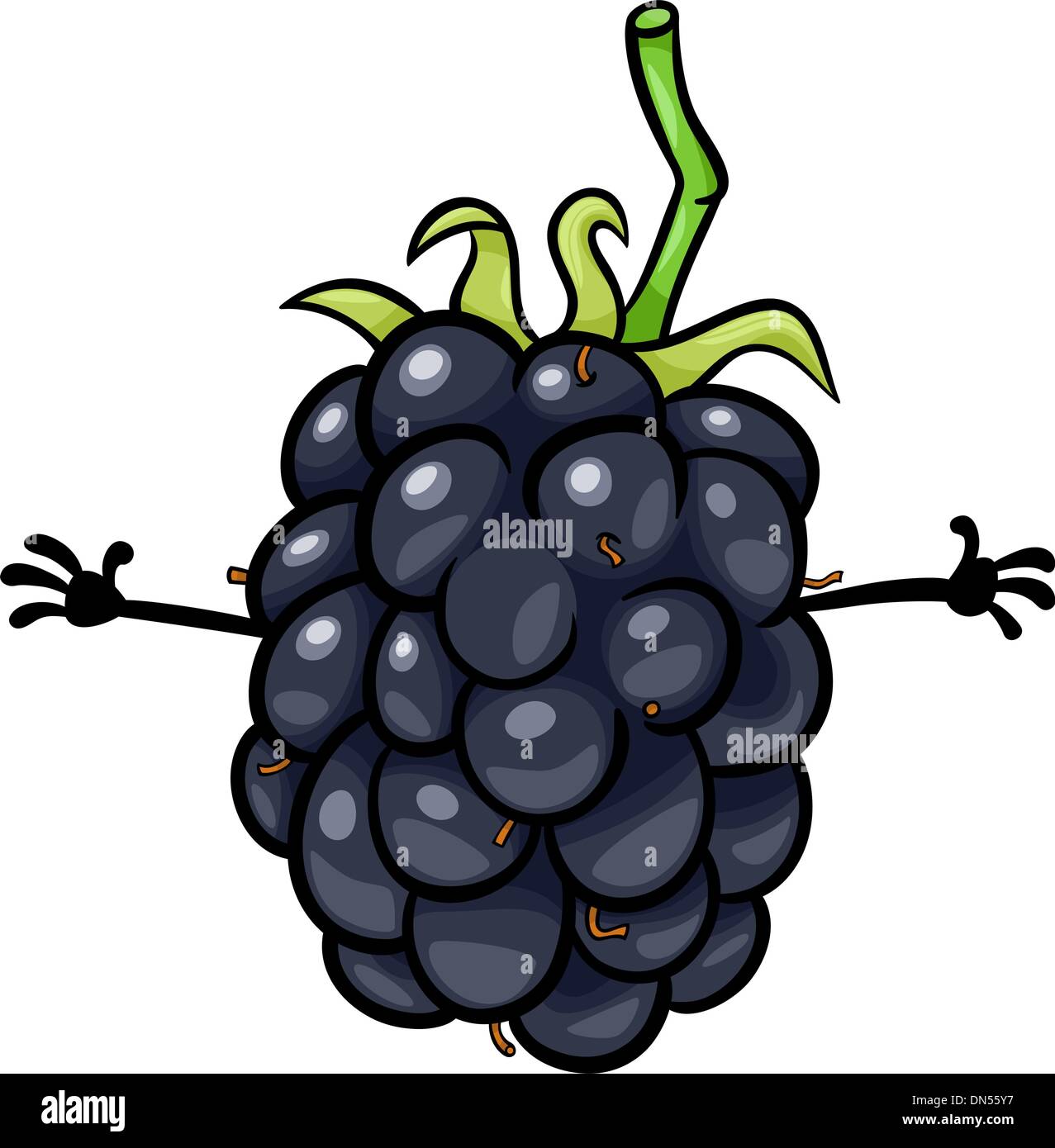 Lustige Brombeere Frucht Cartoon Illustration Stock Vektorgrafik Alamy