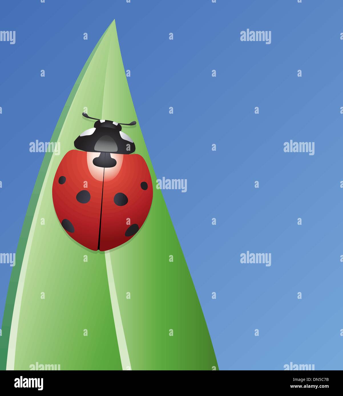 Vektor-Marienkäfer auf einem Blatt Stock Vektor