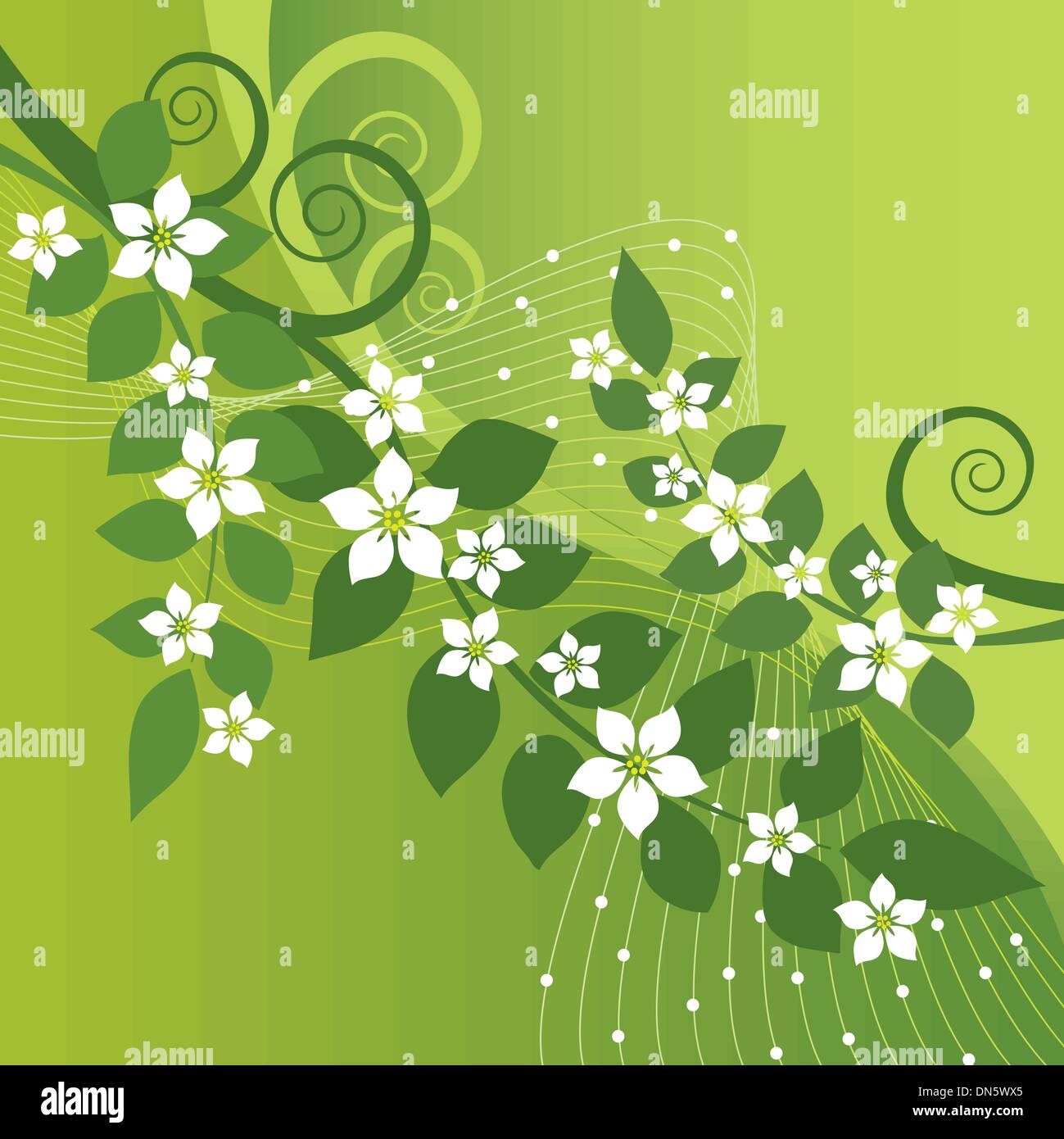 Schöne Jasmin Blüten und grünen wirbelt auf grünem Hintergrund Stock Vektor