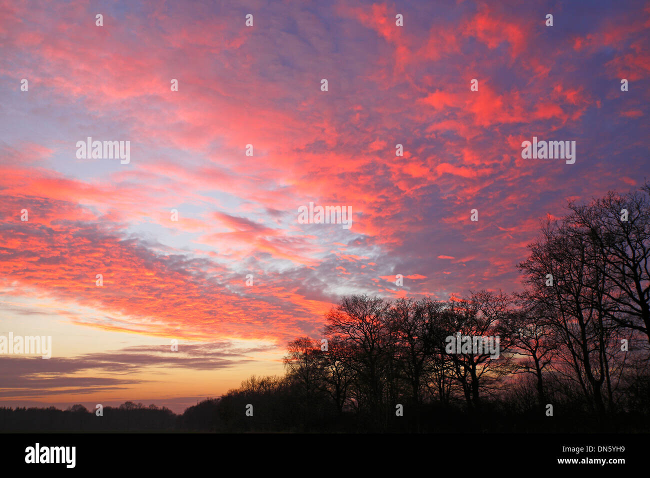 Dramatischer Himmel bei Sonnenuntergang, Oberalsterniederung Naturschutzgebiet, Tangstedt, Schleswig-Holstein, Deutschland Stockfoto