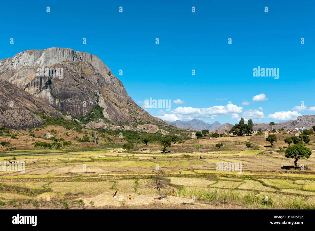 Landschaft, terrassierten Reisfelder der Betsileo Menschen mit einem großen felsigen Berg, Anja-Park in der Nähe von Ambalavao, Madagaskar Stockfoto