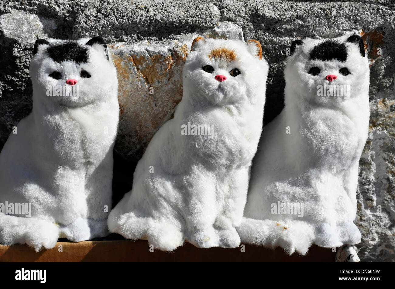 Katze Plüsch Spielzeug zum Verkauf an einem Stand in Akyaka, Provinz Muğla, Türkei Stockfoto
