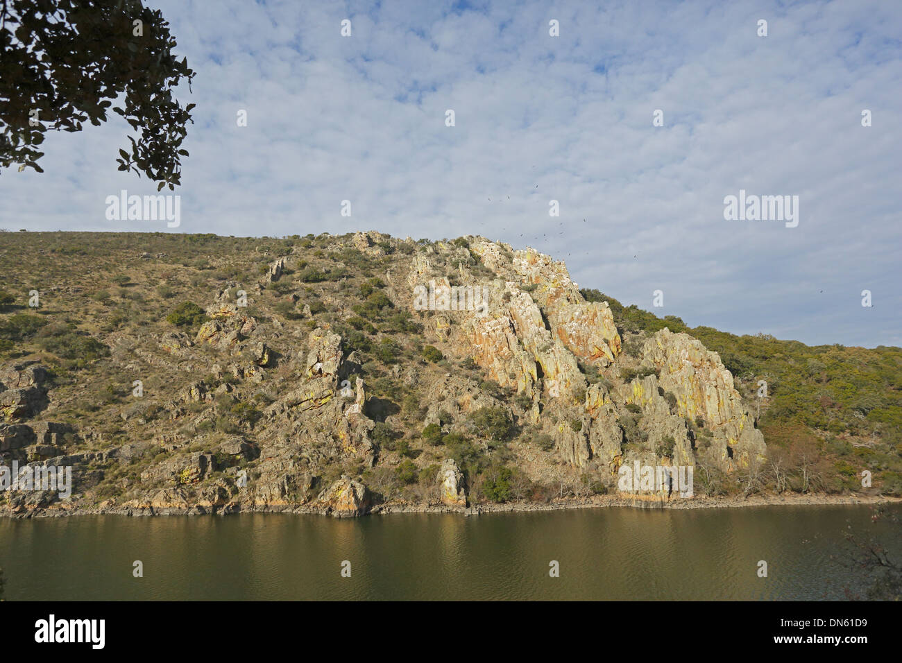 Blick vom Aussichtspunkt La Portilla del Tietar in Monfrague Nationalpark Stockfoto