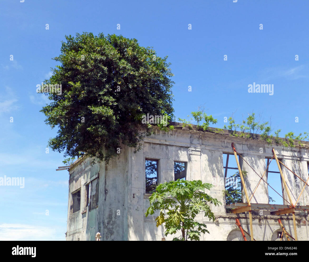 Verfallenes Haus in der Altstadt Casco Viejo, auch Casco Antiguo oder San Felipe, Panama City, Panama Stockfoto