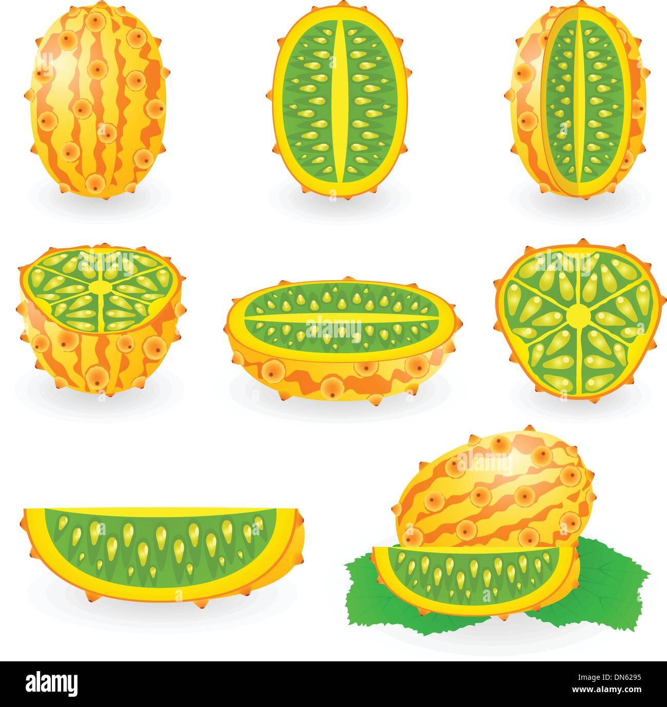 Kiwano Stock Vektor