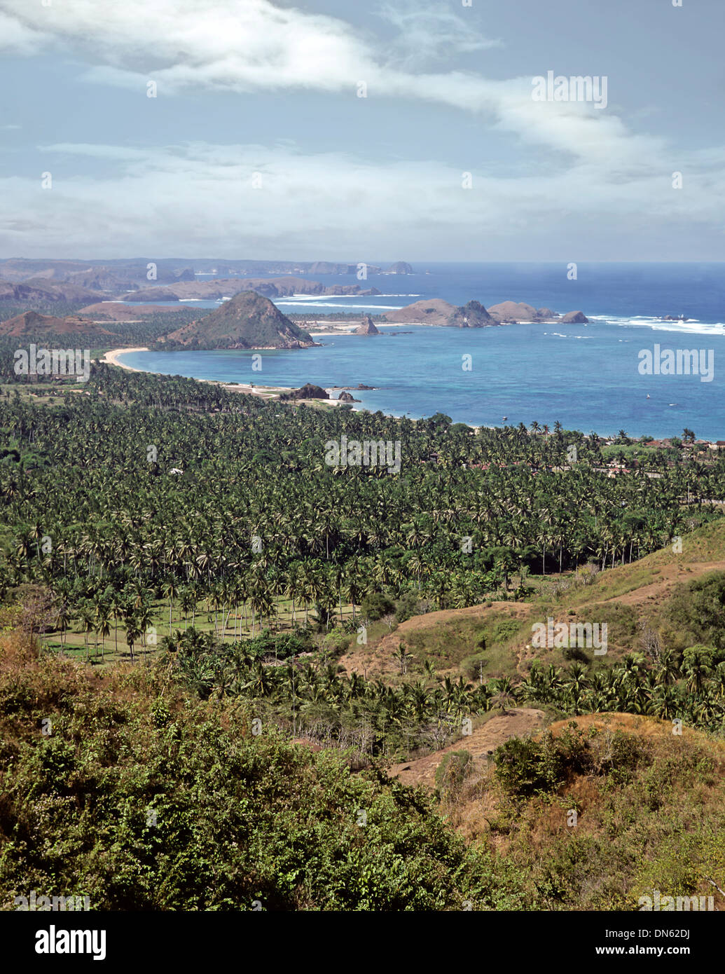 Blick auf Plantage und Strand mit Meer, Kuta, Lombok, West Nusa Tenggara, Indonesien Stockfoto
