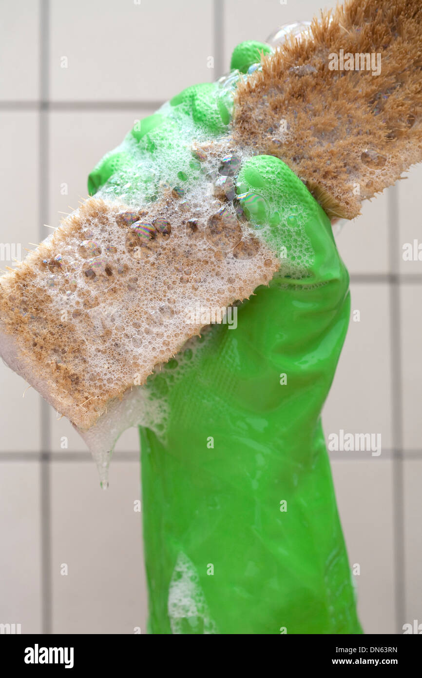 Nahaufnahme von Gummihandschuh hält sudsy Reinigungsbürste Stockfoto