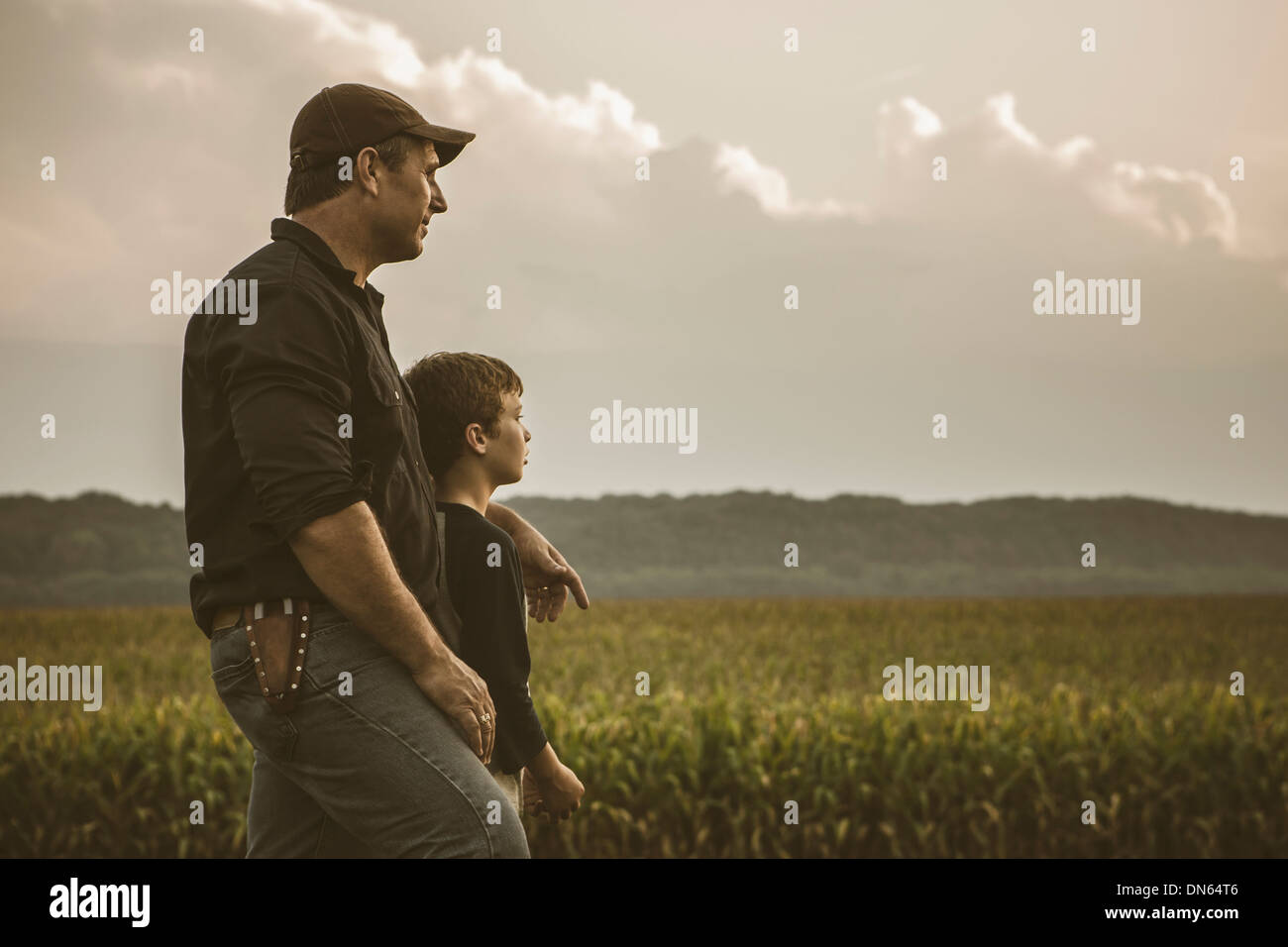 Kaukasische Vater und Sohn mit Blick auf Getreidefelder Stockfoto