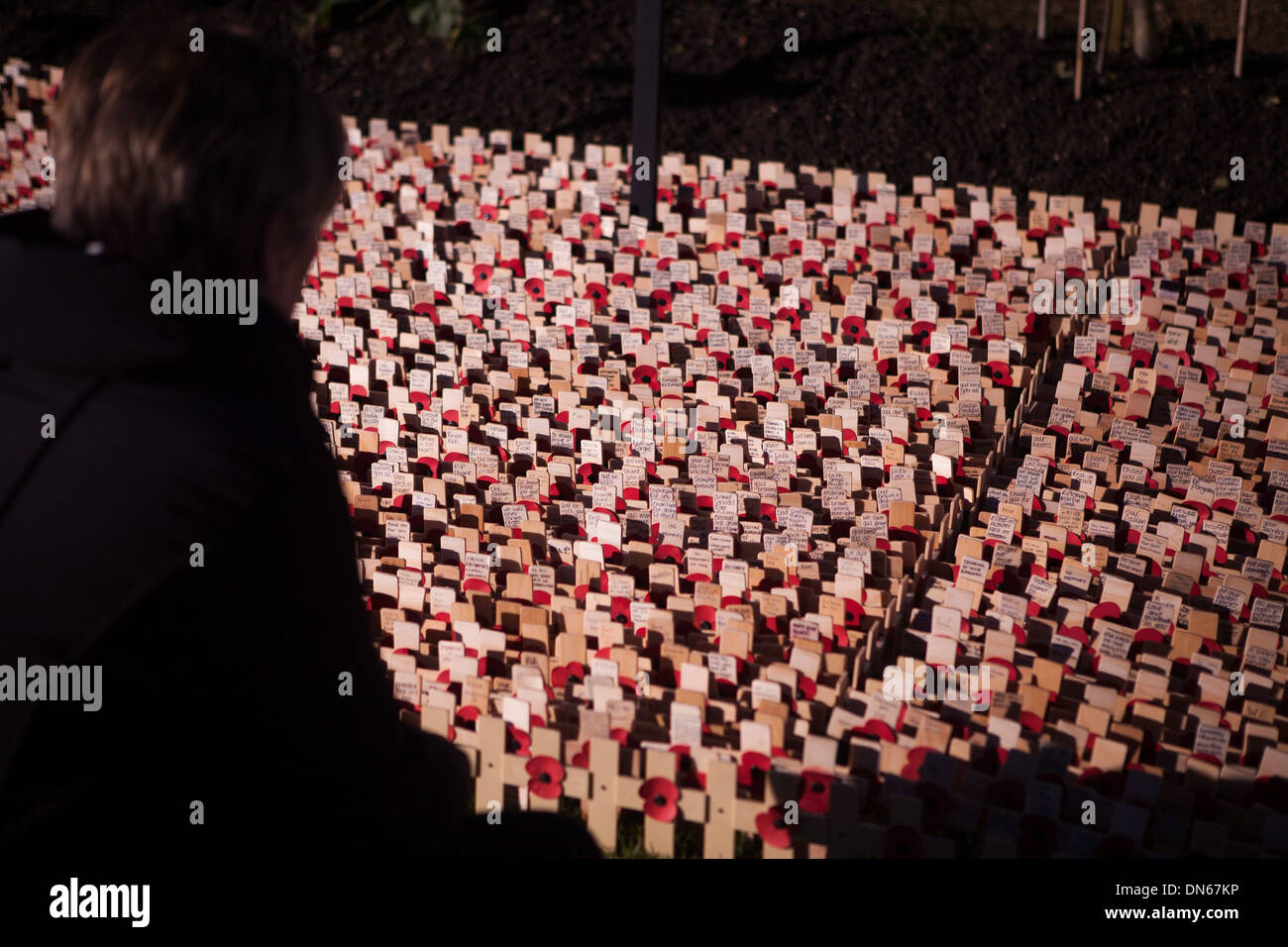 Royal Wootton Bassett Garten der Erinnerung Stockfoto