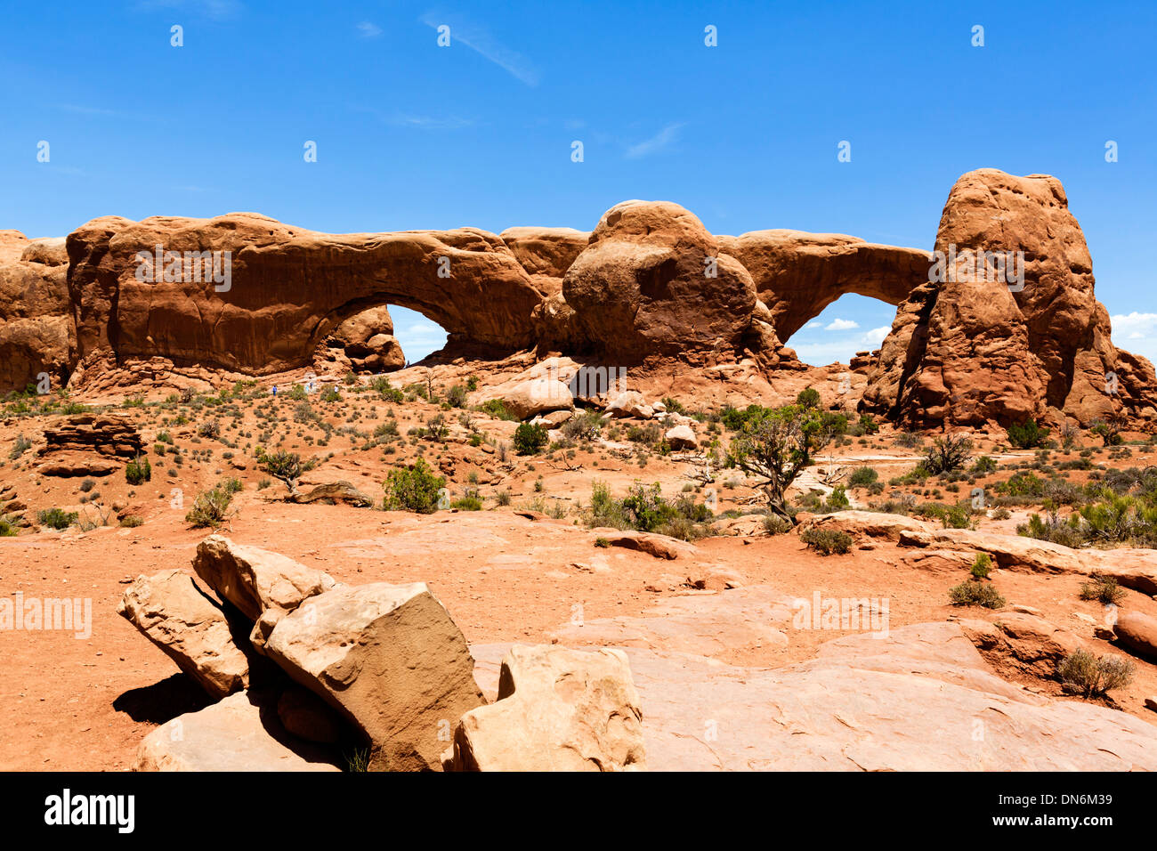 Norden und Süden Windows Bögen, The Windows Abschnitt Arches-Nationalpark, Utah, USA Stockfoto