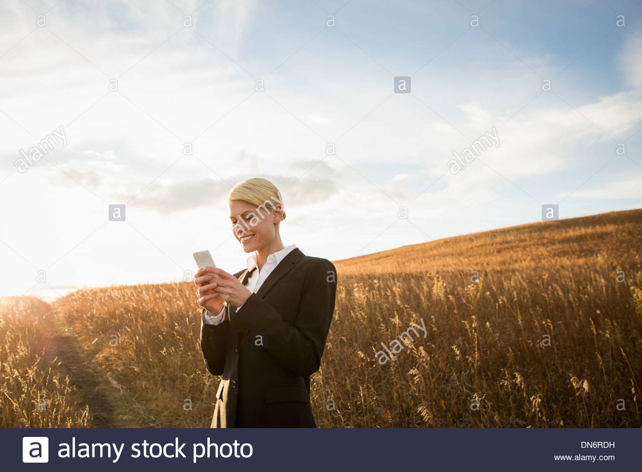 Lächelnd Geschäftsfrau Textnachrichten im Feld Stockfoto