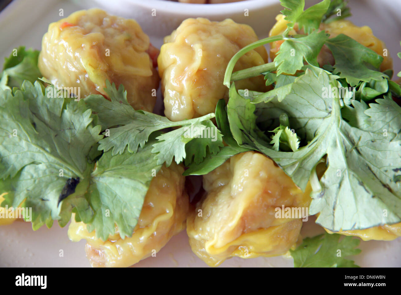 Das Bild Clouseup Schweinefleisch Wonton auf Teller und Koriander. Stockfoto