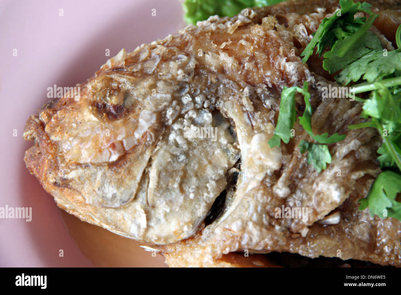Das thailändische Essen gebratenen Fisch und Koriander in der Schale. Stockfoto