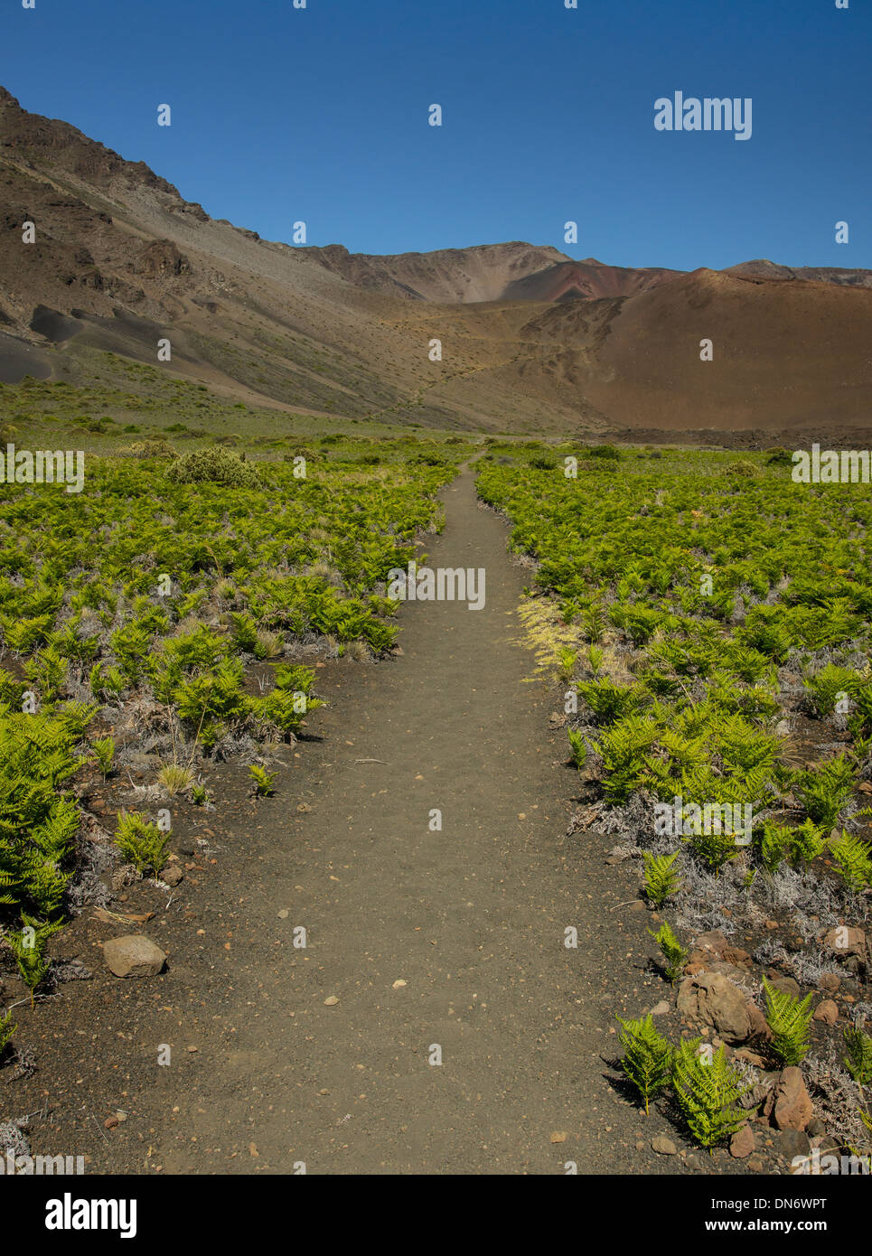 Ein Blick auf die Sliding Sands Trail von innerhalb der Haleakala Krater Führungsposten in der Ferne an den Kraterrand. Stockfoto