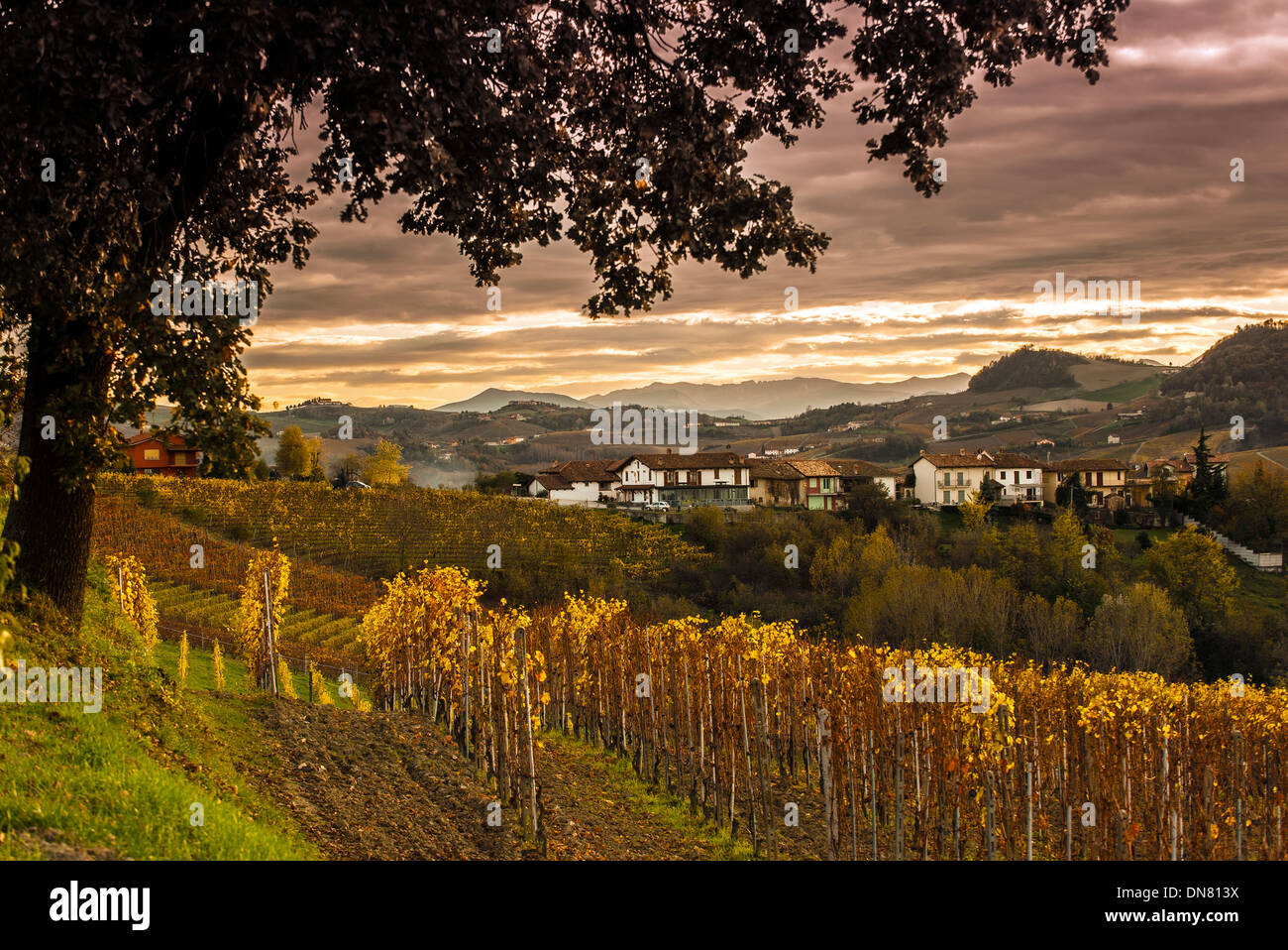Europa-Italien-Piemont-Häuser in der Nähe von Serralunga D'Alba Stockfoto