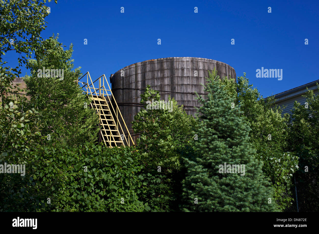 Hölzernen Pickle Tank hinter Bäumen im HJ Heinz Werk in Holland, Michigan, USA Stockfoto