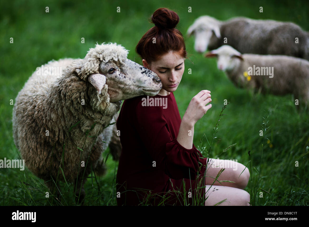 Junge Frau mit Schafe auf einer Wiese Stockfoto