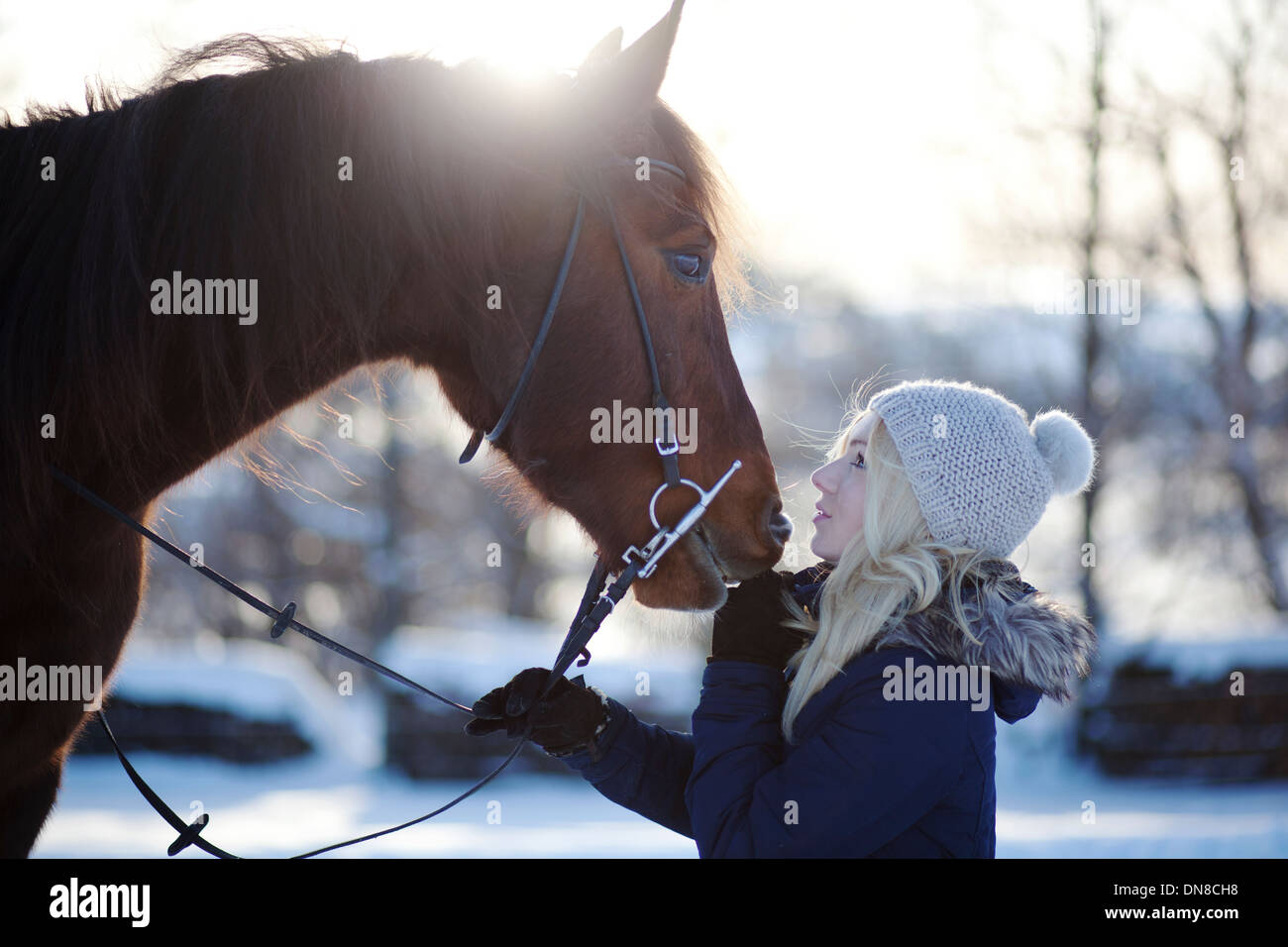 Junge Frau mit Pferd im winter Stockfoto