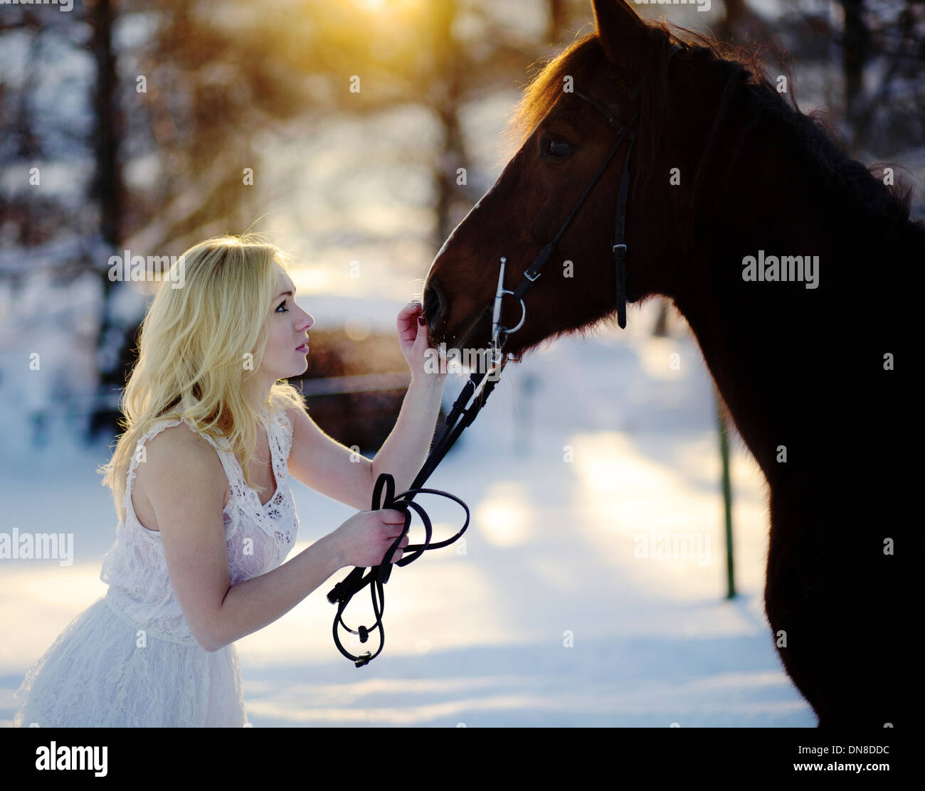Junge Frau im weißen Kleid mit Pferd im winter Stockfoto