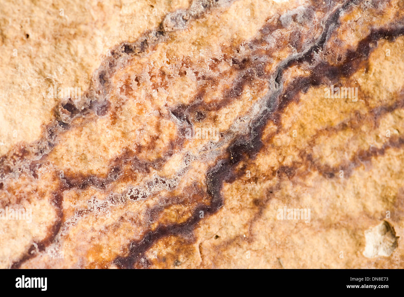 Abstraktes Bild der Venen in den Felsen. Stockfoto