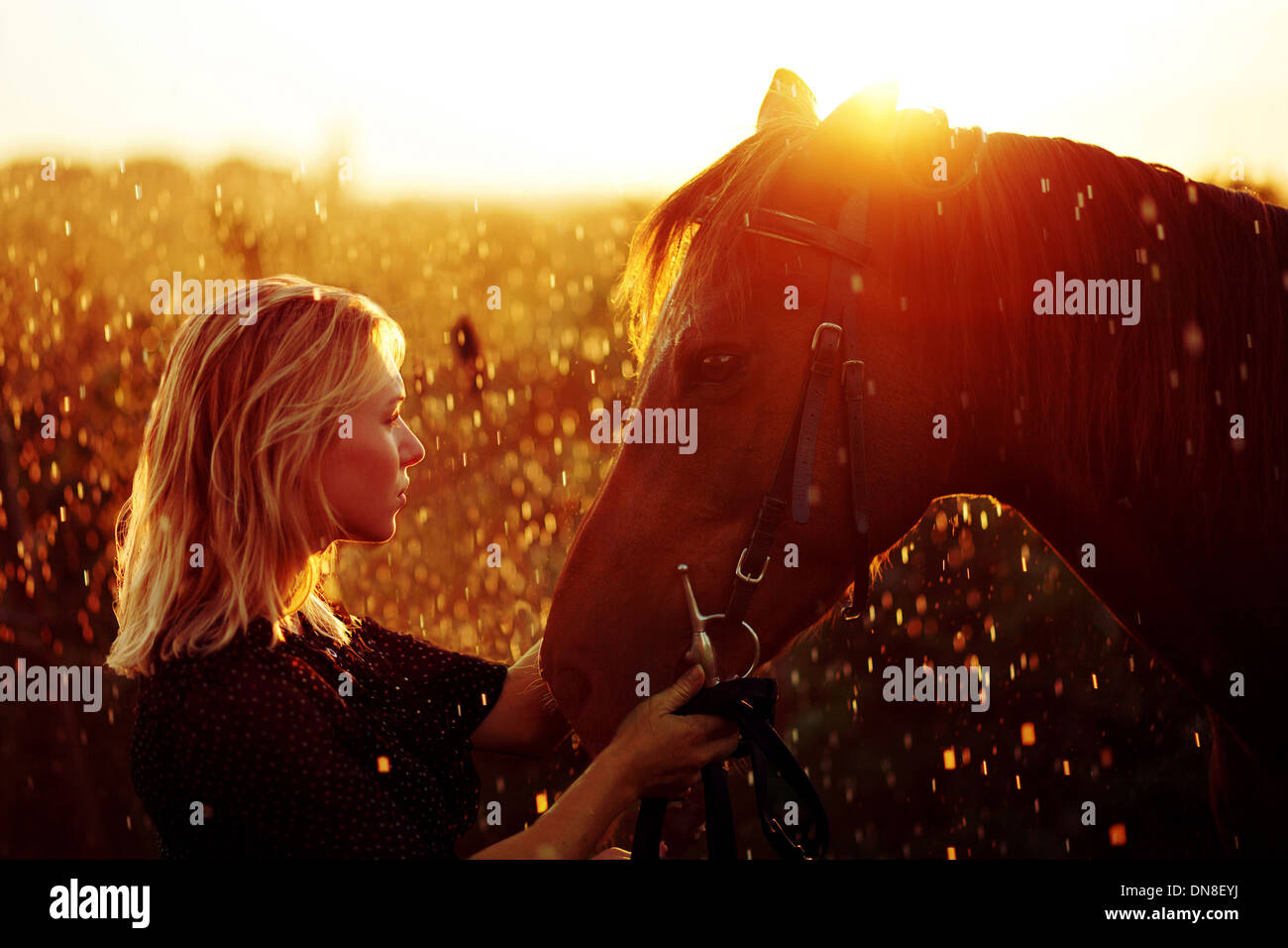 Frau mit Pferd bei Sonnenuntergang Stockfoto