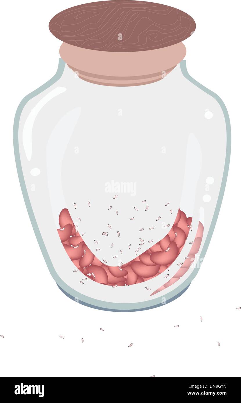 Eine Menge von Kidney-Bohnen in Glasflasche Stock Vektor