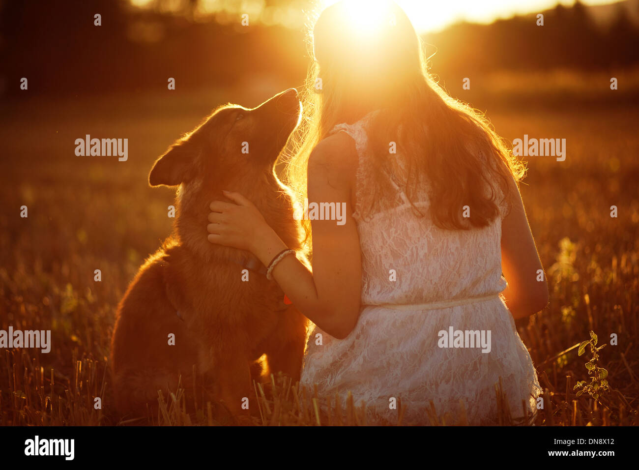 Frau mit Hund sitzt auf einer Wiese bei Sonnenuntergang Stockfoto
