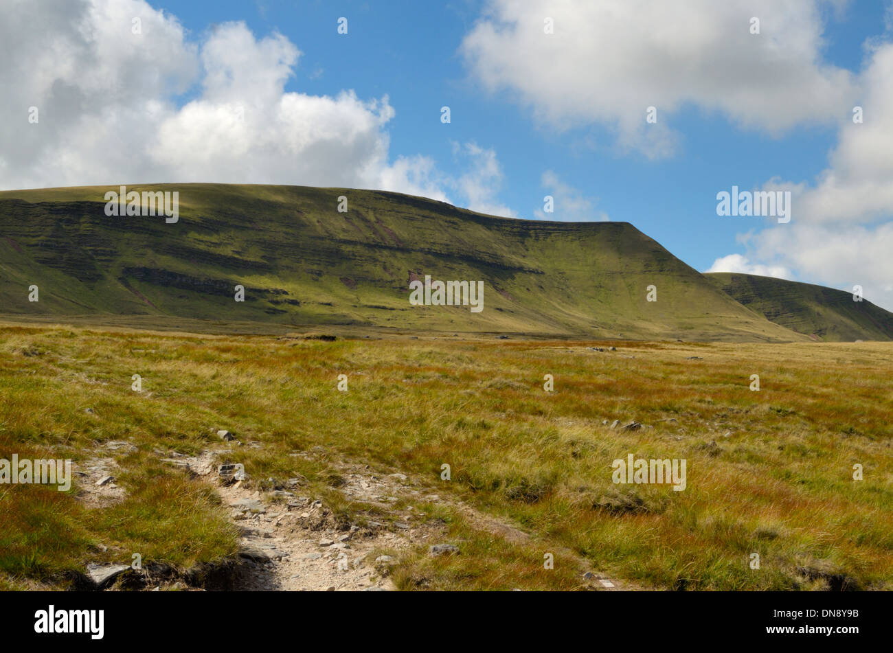 Fan Brycheiniog Stockfoto