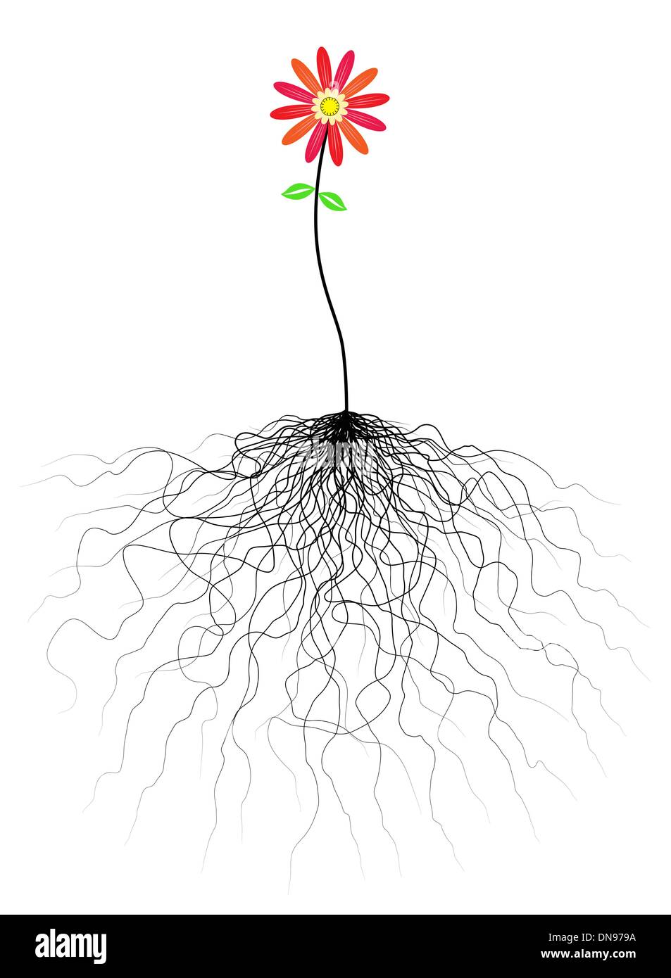 Blumen und Wurzeln Stock Vektor