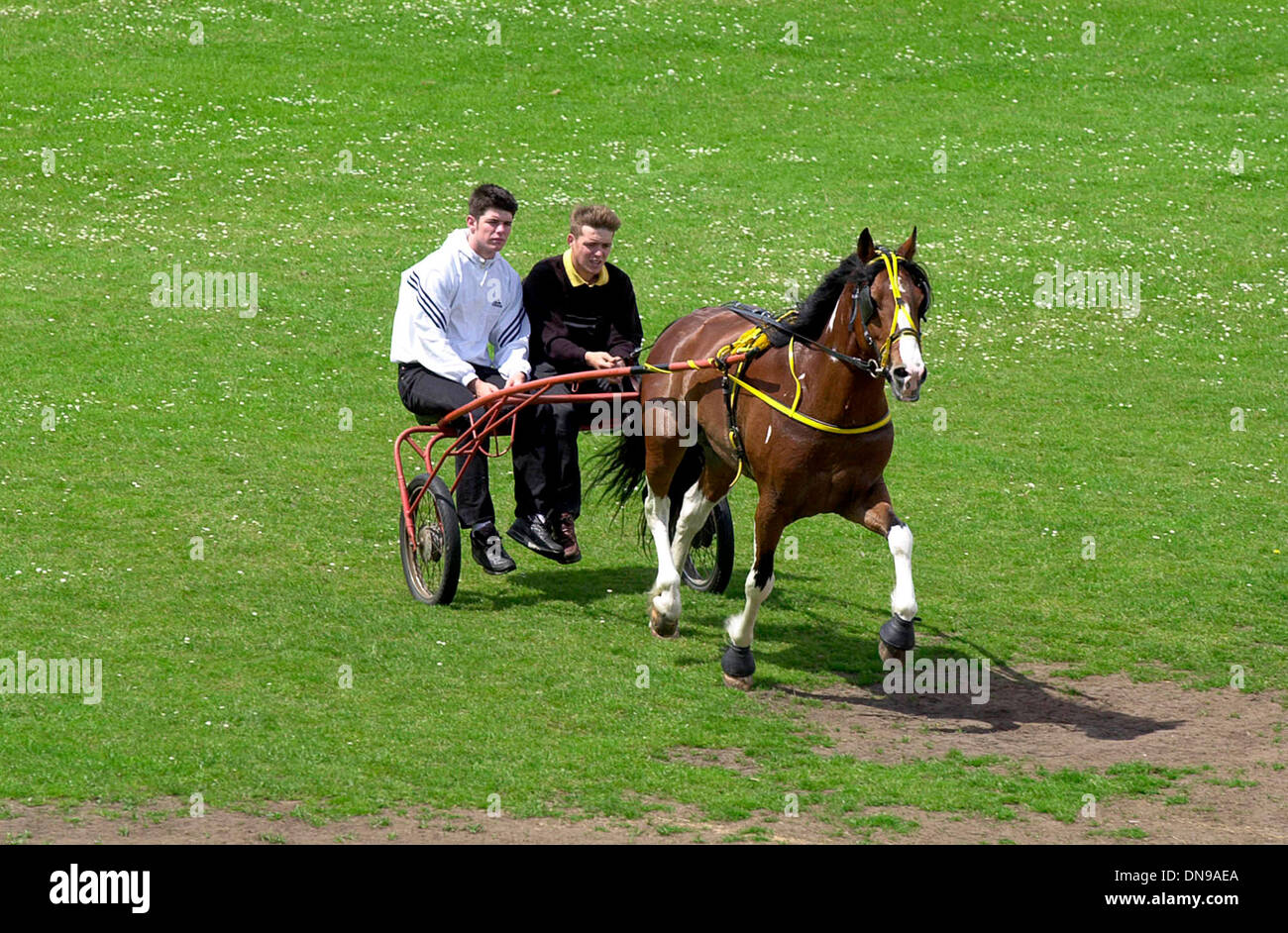 Zwei junge Männer, die 2001 in Bilston West Midlands, Großbritannien, auf ihrem Gypsy-Rennpferd und ihrem Karren reiten. Großbritannien sulky Racing Mann männlich romany Teenager Teenager Teenager Stockfoto