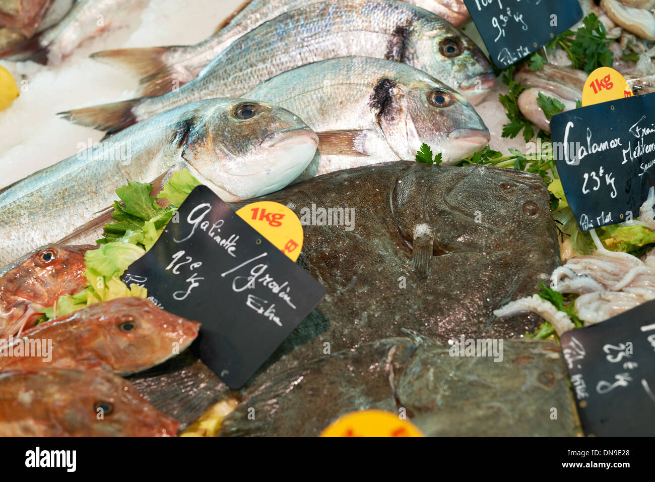 Frischer Fisch zum Verkauf auf Meer Lebensmittelmarkt stall in Marseille, Provence, Frankreich Stockfoto