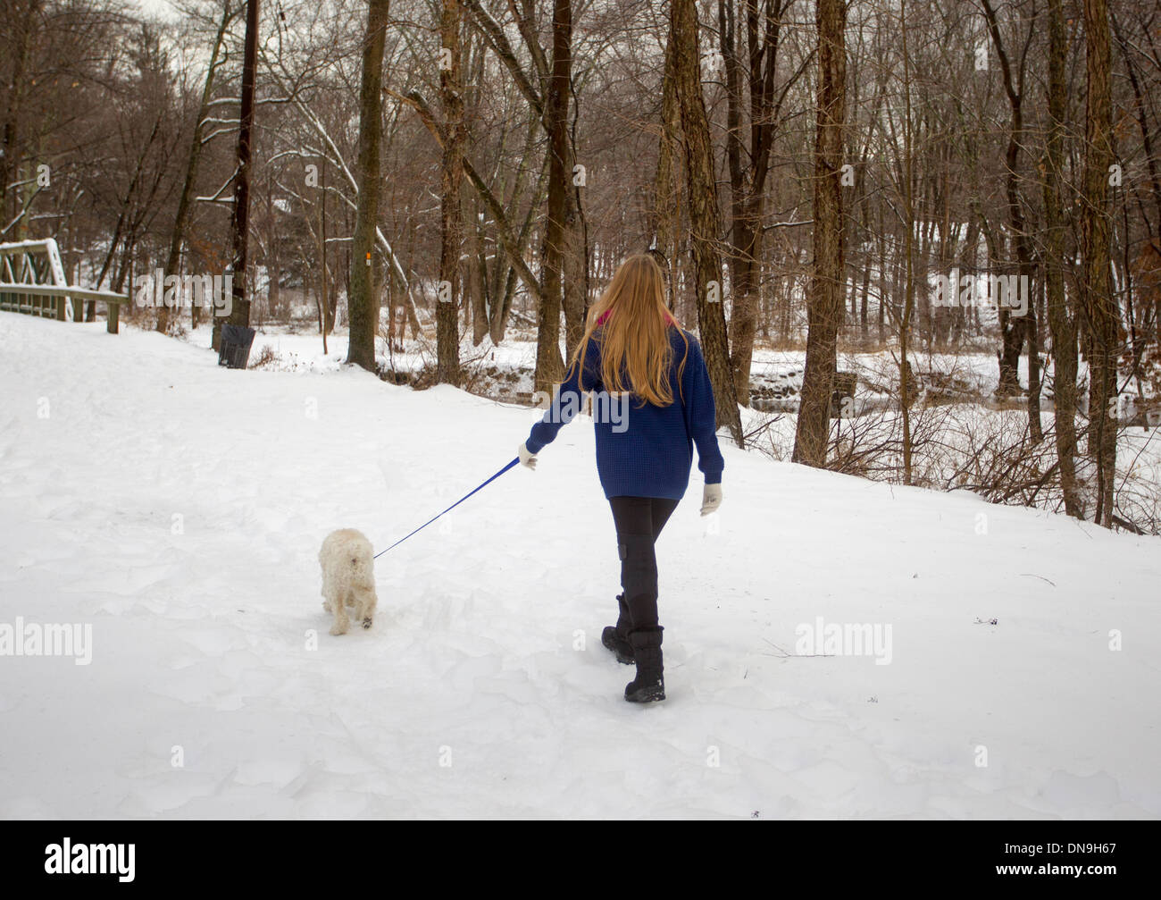 Teenager-Mädchen Spaziergang mit ihrem Hund an einem Wintertag Stockfoto