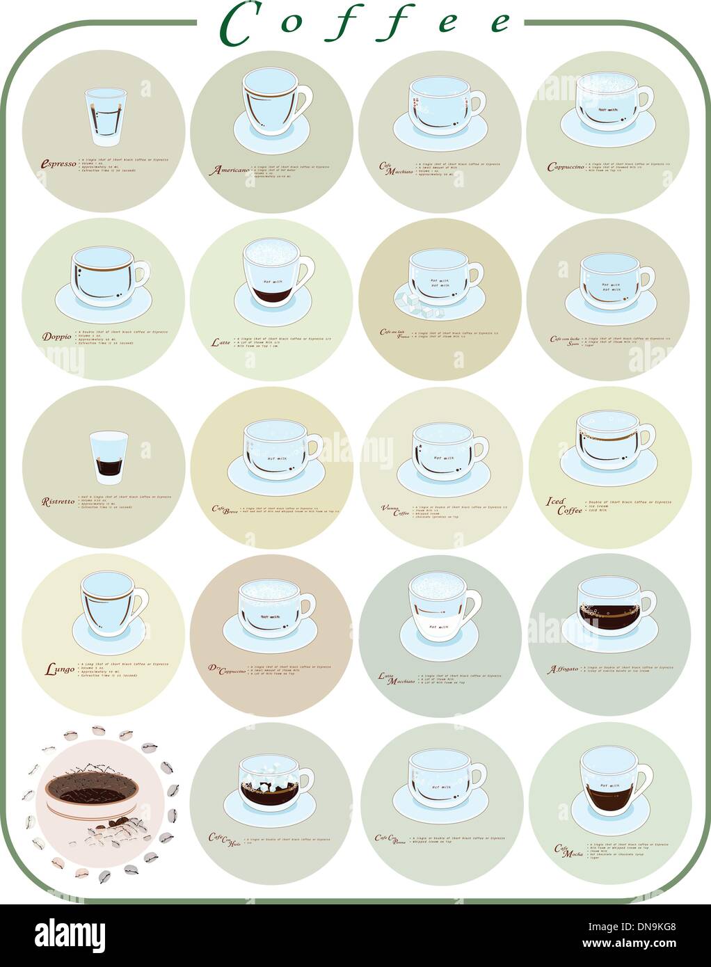 Verschiedene Arten von Kaffee-Menü oder Kaffee Guide Stock Vektor