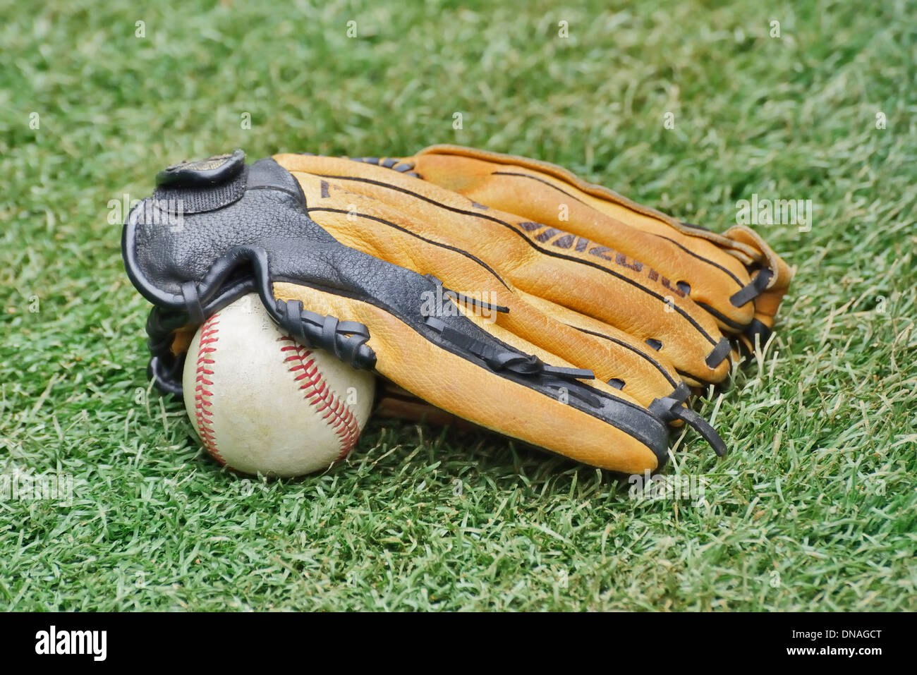 Baseball Ball und Handschuh auf dem Rasen Stockfoto