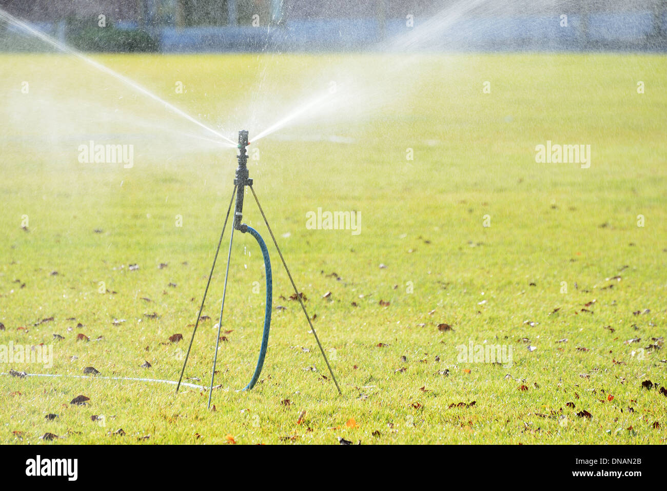 Stativ Typ Sprinkler auf Rasen Gebiet Stockfoto