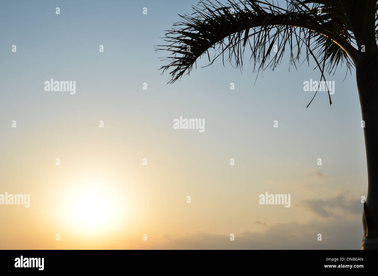 Tropischer Sonnenuntergang auf der japanischen Insel Okinawa Stockfoto