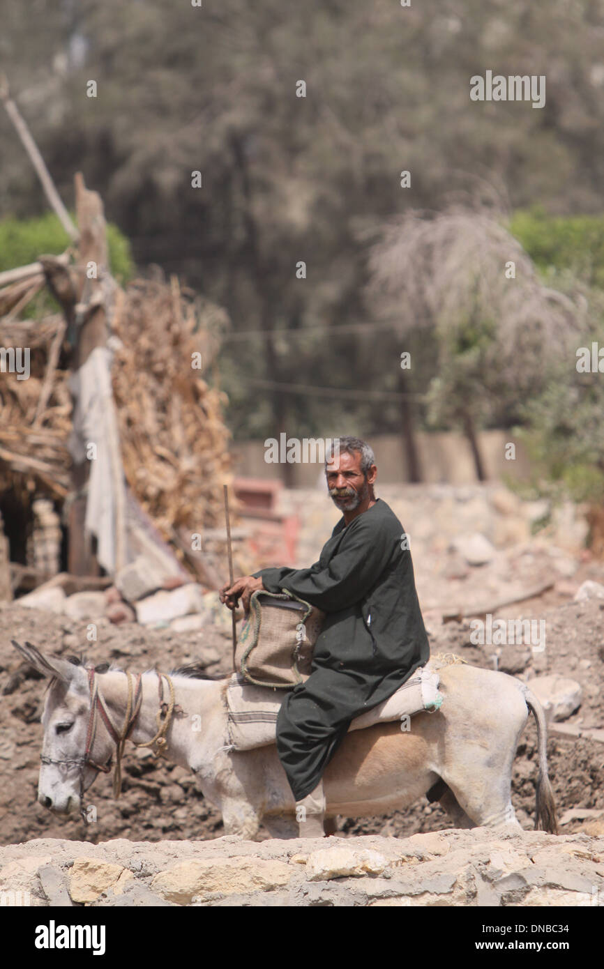 Mann auf einem Esel El Fayoum - Ägypten (Arbeit auf den Feldern) Stockfoto