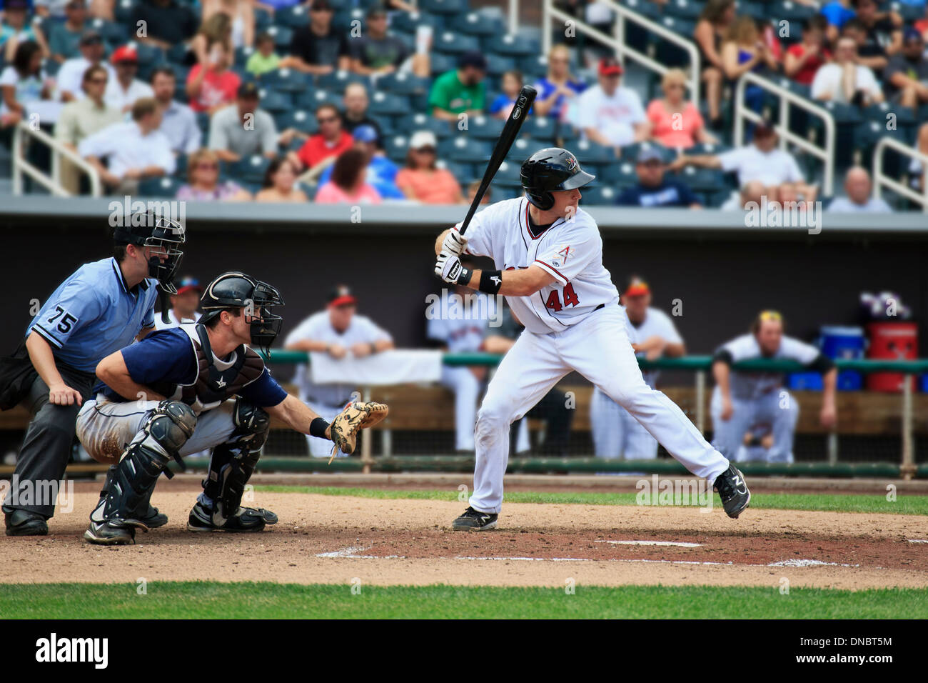 Isotope (weißen Uniformen) Baseball-Spiel, Isotope Park, Albuquerque, New Mexico, Vereinigte Staaten Stockfoto