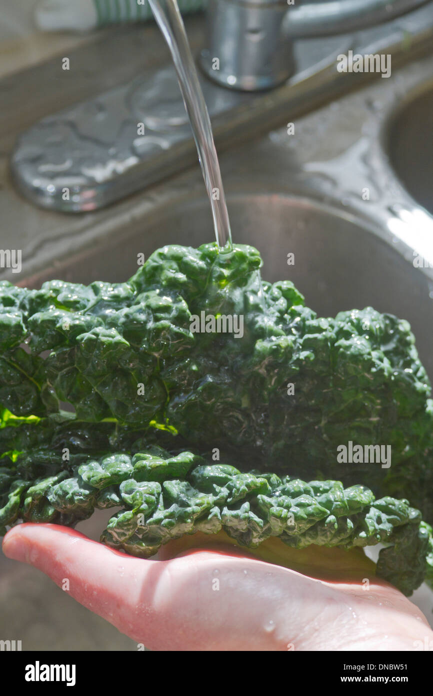 Nahaufnahme einer Hand Waschen eines kale Blatt in einem Metall Spülbecken Stockfoto