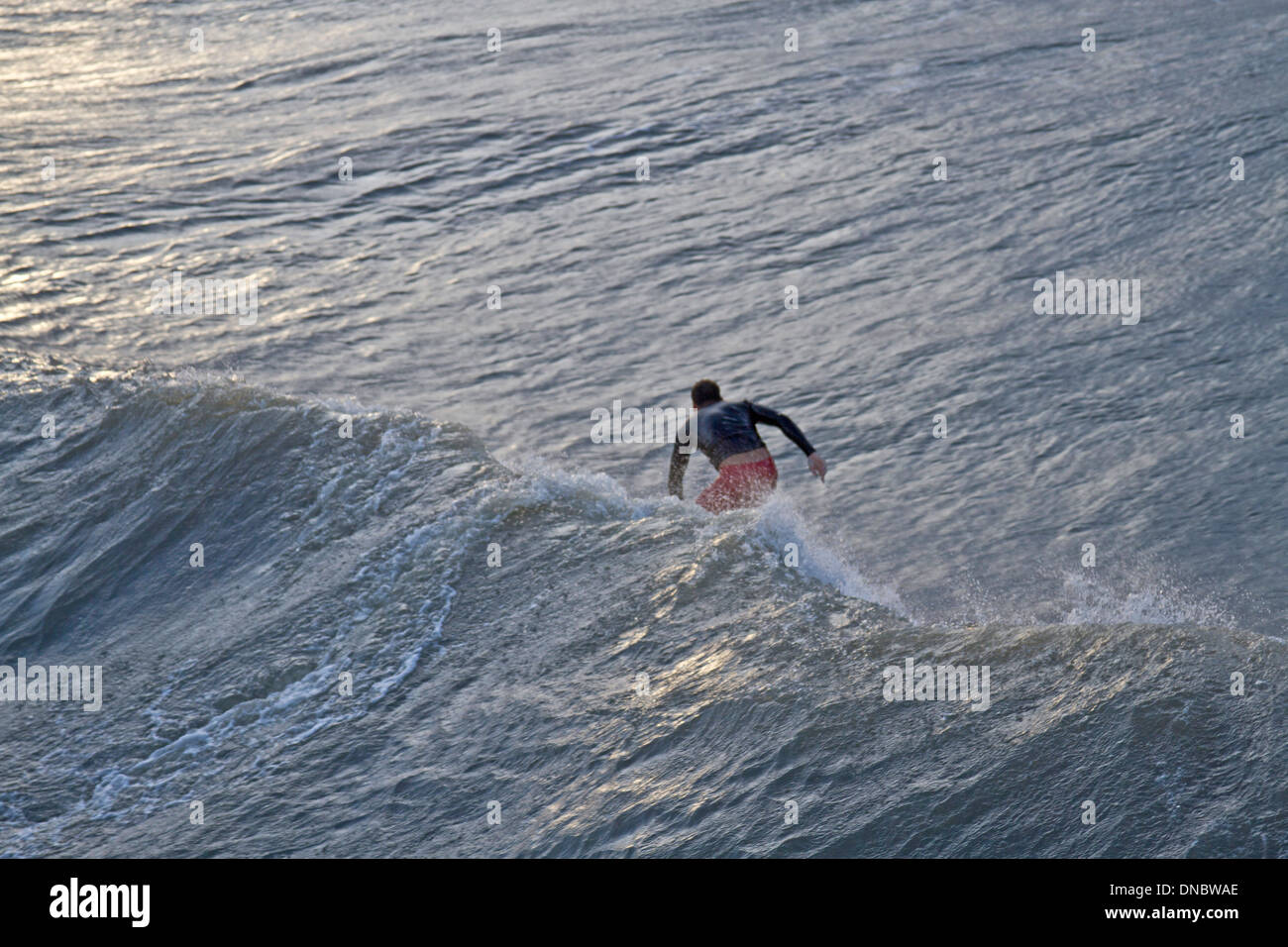 Folly Beach, South Carolina, USA - 25. Oktober 2012: Surfer reitet eine riesige Welle von Hurrikan Sandy von hinten aus gesehen Stockfoto